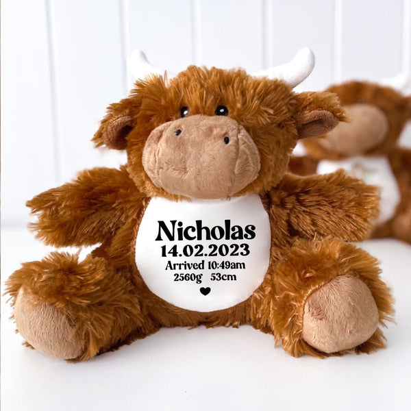 Personalised Teddy with Birth Details